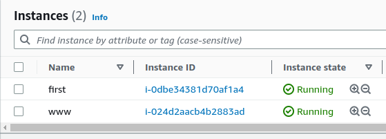 AWS Instance ID