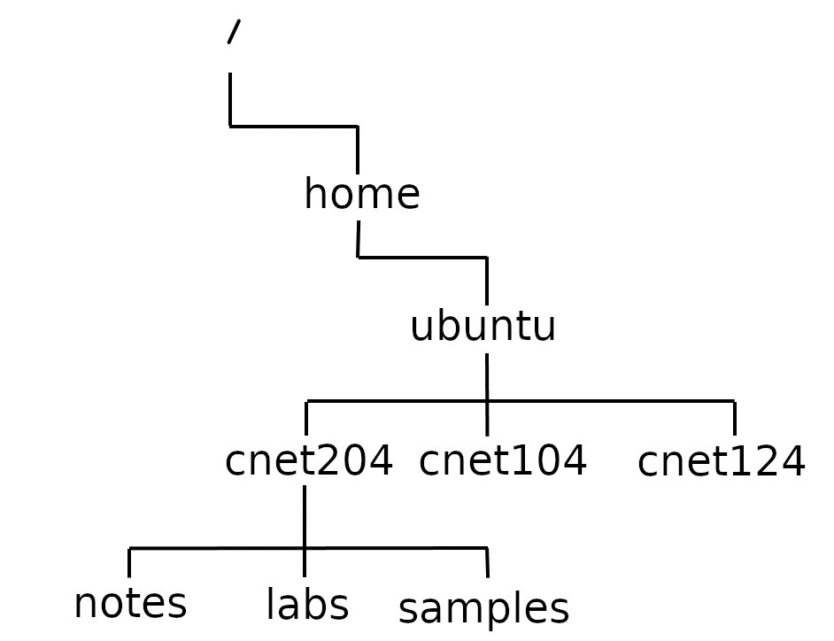 Sample directory structure