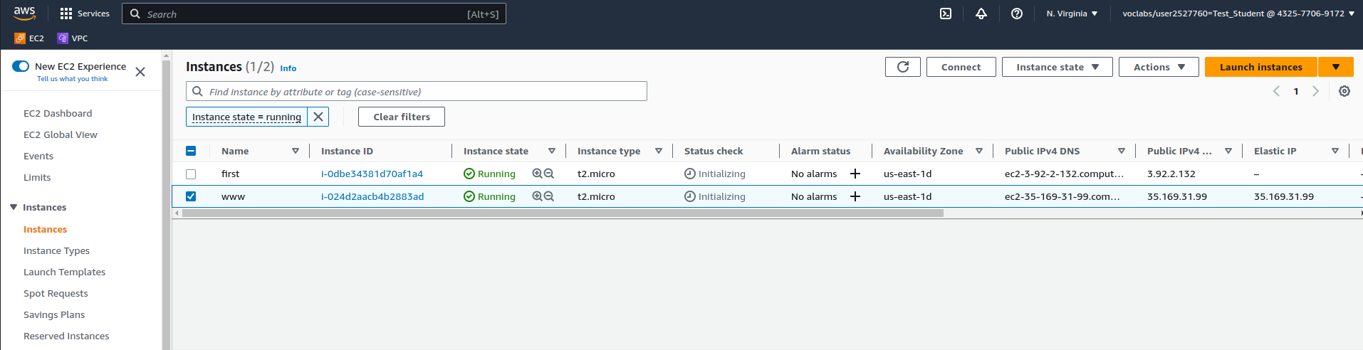 Copying Elastic IP to access index.html